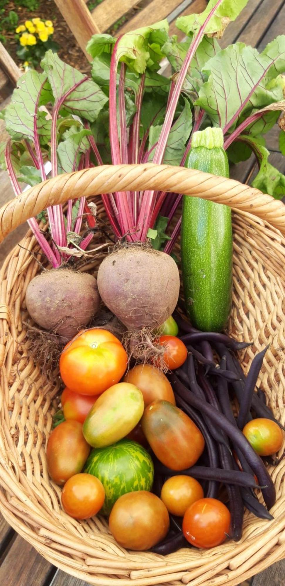 לינה וארוחת בוקר Lapleau Les Jardins De Nanine מראה חיצוני תמונה